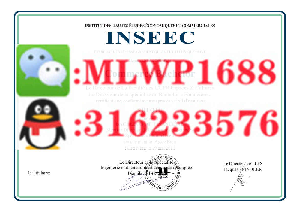 INSEEC高等商业学院 INSEEC 毕业证模版 成绩单样本